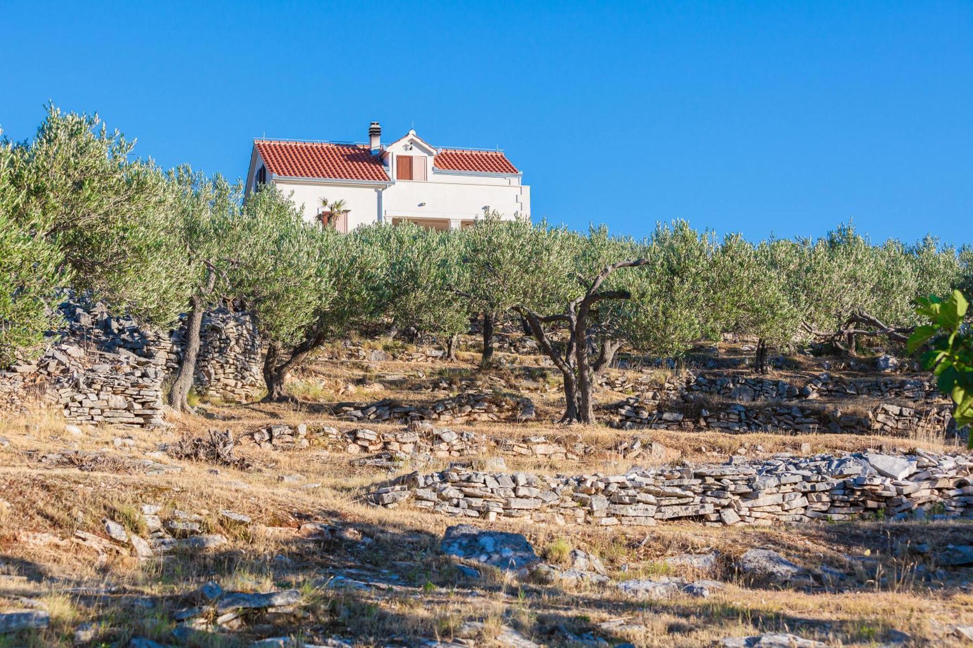 Villa Fani Supetar Zewnętrze zdjęcie